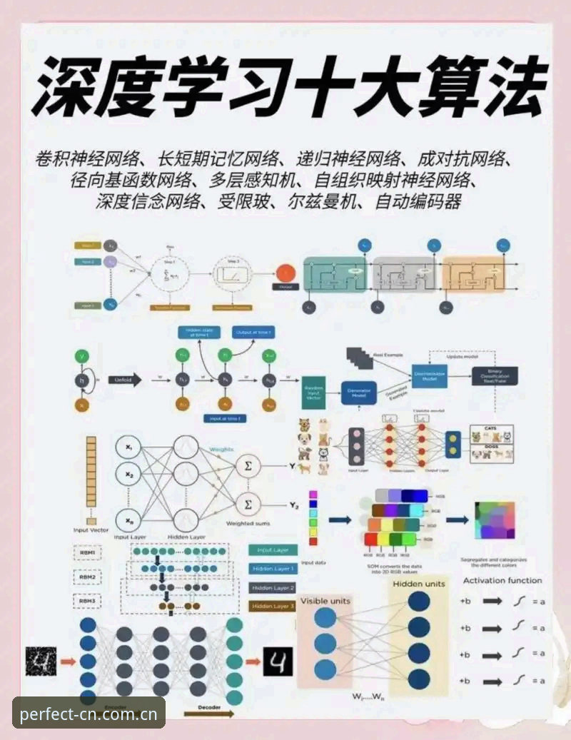 完美体育APP苹果下载 深度揭秘完美体育APP苹果下载:为什么我不推荐你直接搜“苹果下载”